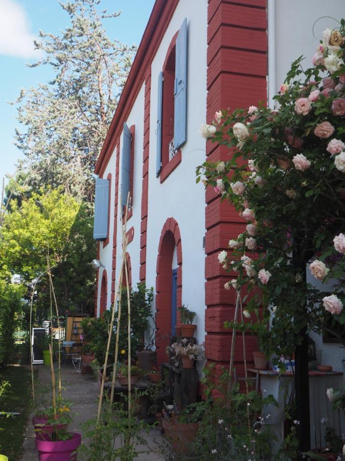 La Gare De Millas Chambres D'Hotes Екстер'єр фото